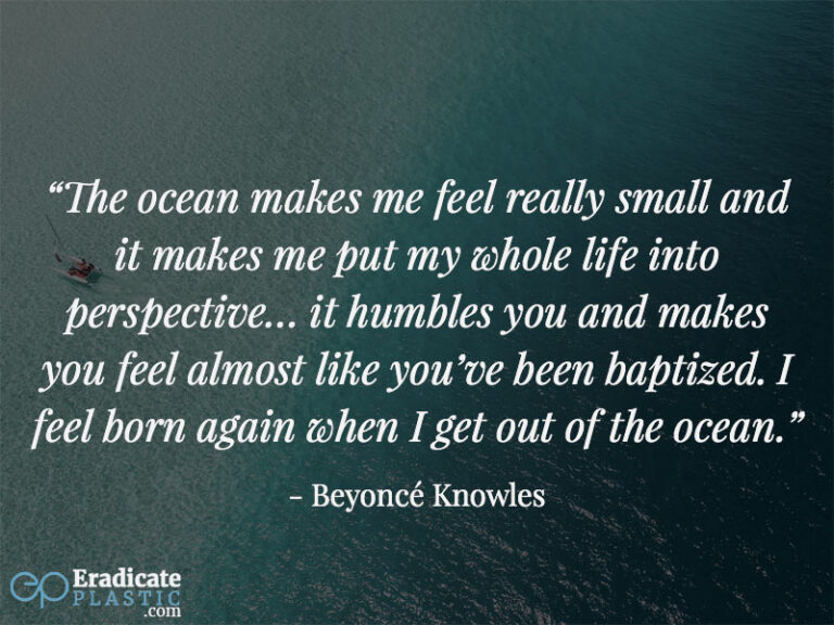 25 inspiring quotes about the ocean - Eradicate Plastic